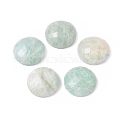 Natürliche Amazonit-Cabochons G-L514-007D