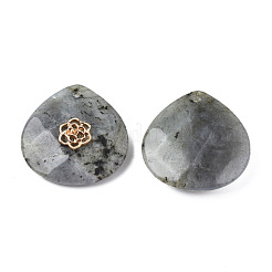 Natürliche Labradorit-Anhänger-Strass-Einstellungen G-N326-133-06