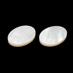Natürliche weiße Muschel cabochons SSHEL-M022-03