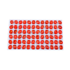 K9 Glas Strass Cabochons MRMJ-N029-09-02