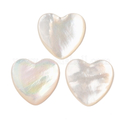 Natürliche weiße Muschel cabochons SSHEL-C012-20