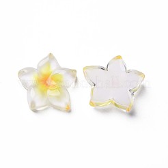 Transparente Epoxidharz-Cabochons X-CRES-S365-23A