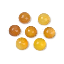 Natürliche gelbe Achat Cabochons G-K348-07C-03