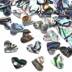 Natürliche Abalone Muschel / Paua Muschel Cabochons SSHEL-N034-117