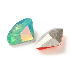 K9 Glas Strass Cabochons EGLA-F161-13