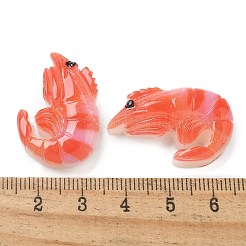 Harz Cabochons RESI-R456-04A
