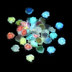 Leuchtende Decoden-Cabochons aus Harz RESI-N039-80