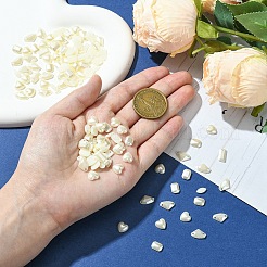 Acryl Cabochons MRMJ-T063-217