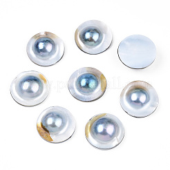Natürlichen Shell Cabochons PEAR-N020-Q01