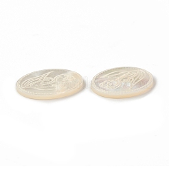 Natürliche Muschel-Cabochons SSHEL-T012-14