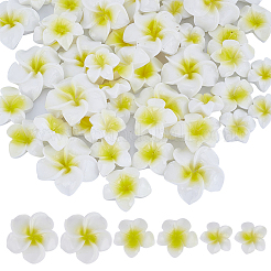 60 Stück 3 Arten undurchsichtige Harz Cabochons RESI-SC0002-78
