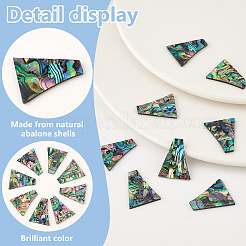8 Stück natürliche Abalone Muschel/Paua Muschel Cabochons SHEL-BC0001-037C