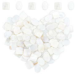 100 Stück 2 Stil natürliche Süßwassermuschel Cabochons SHEL-GF0001-01