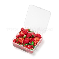60 Stück Harz Cabochons RESI-LS0001-15