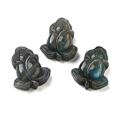 Natürlicher Labradorit geschnitzte Cabochons G-C152-08