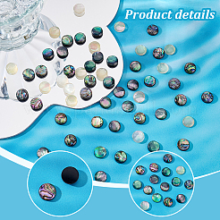90 Stück 3 Farben Acryl-Muschel-Imitat-Cabochons MACR-PH0001-65A
