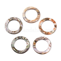 Natürliche Abalone Muschel / Paua Muschel Cabochons SHEL-T020-10B