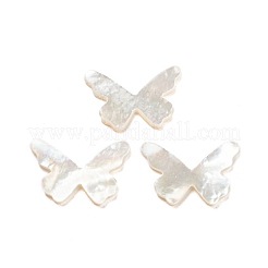 Natürliche Muschel-Cabochons SHEL-D079-16