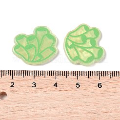 Meerestier Acryl Cbabochons OACR-H115-01H