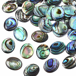 Natürliche Abalone Muschel / Paua Muschel Cabochons SSHEL-N034-118