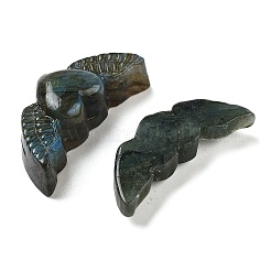 Natürlicher Labradorit geschnitzte Cabochons G-C152-07