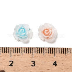 Leuchtende Decoden-Cabochons aus Harz RESI-K036-06A