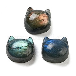 Natur Labradorit Cabochons G-C152-04