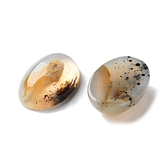 Natürliche dendritische Achat-Cabochons G-B138-02A