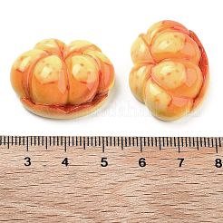 Undurchsichtige Decoden-Cabochons aus Kunstharzimitat für Lebensmittel RESI-S405-06B