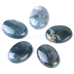 Natur Indien Achat Cabochons PW-WG8E62B-01