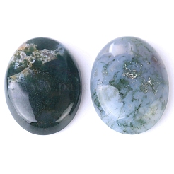 Natur Indien Achat Cabochons PW-WG8E62B-01