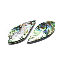Natürliche Abalone Muschel / Paua Muschel Cabochons SHEL-K008-03