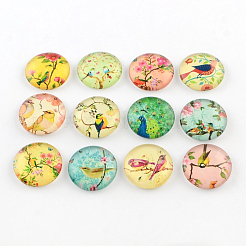 Halbrund / Kuppel Vogelmuster Glas flatback BlumeCabochons für DIY-Projekte X-GGLA-Q037-25mm-M07