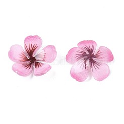 Kunststoff Cabochons KY-N015-025