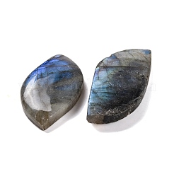 Natur Labradorit Cabochons G-B085-05