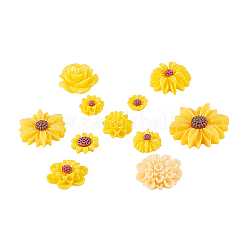 Harz Cabochons CRES-CJC0005-01B