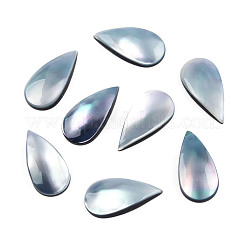Natürliche Turbo Cornulus/Top Shell Cabochons SSHEL-N003-156A