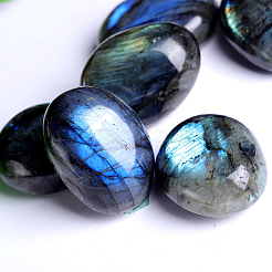Natur Labradorit Cabochons G-PW0003-03A