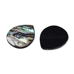 Natürliche Paua-Muschel-Tropfen-Cabochons SSHEL-T017-10