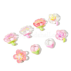 Durchscheinende Harz-Cabochons RESI-F045-01