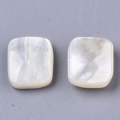 Natürliche weiße Muschel Perlmutt Muschel Cabochons X-SHEL-R047-15