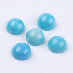 Natur Howlite Cabochons TURQ-L028-04