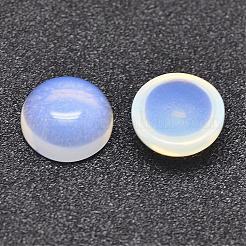 Opal cabochons G-P215-01-10mm