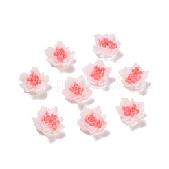 Leuchtende Decoden-Cabochons aus Harz RESI-K036-06D