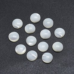Shell Cabochons SSHEL-P015-61-10mm