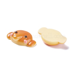 Harz Cabochons RESI-K013-06
