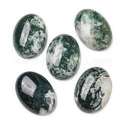 Natürliche Baumachat-Cabochons G-M430-01
