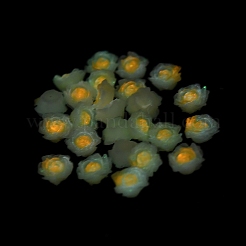 Leuchtende Decoden-Cabochons aus Harz RESI-K036-06E