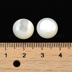 Natürliche weiße Muschel cabochons SSHEL-M022-01D