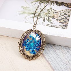 Oval Klarglas Cabochon Deckel DIY-PH0018-96AB